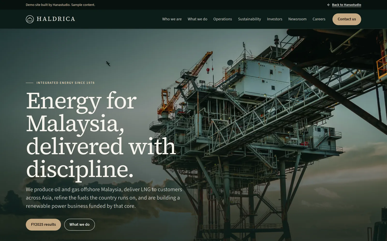 Haldrica Energy: website home page